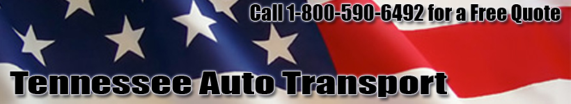Tennessee to South Carolina Auto Transport and Shipping Logo